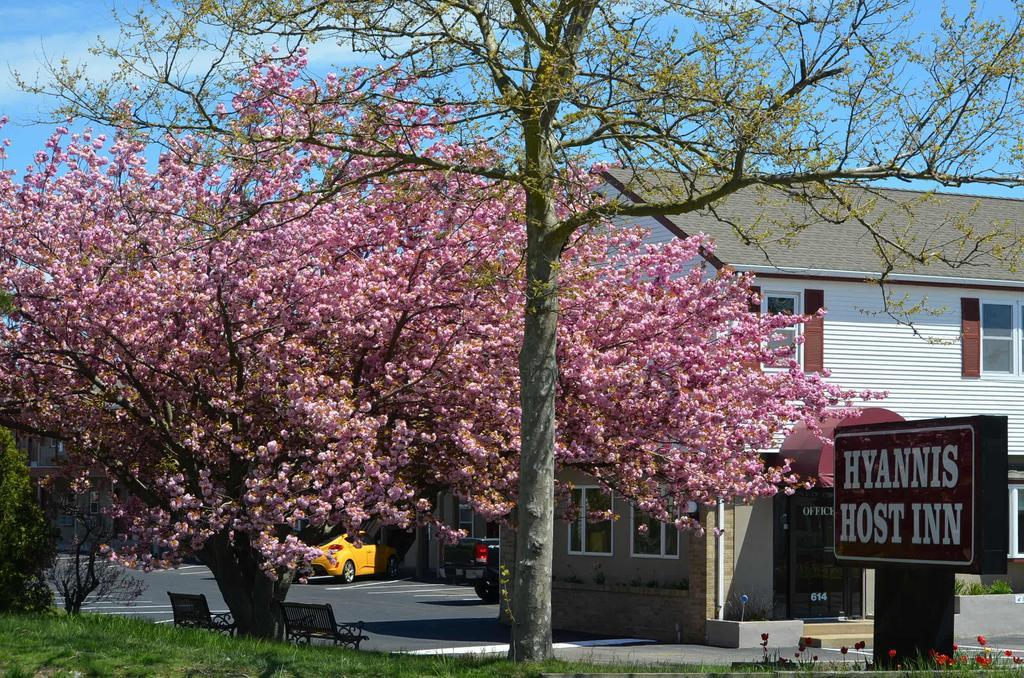 Hyannis Host Inn ภายนอก รูปภาพ